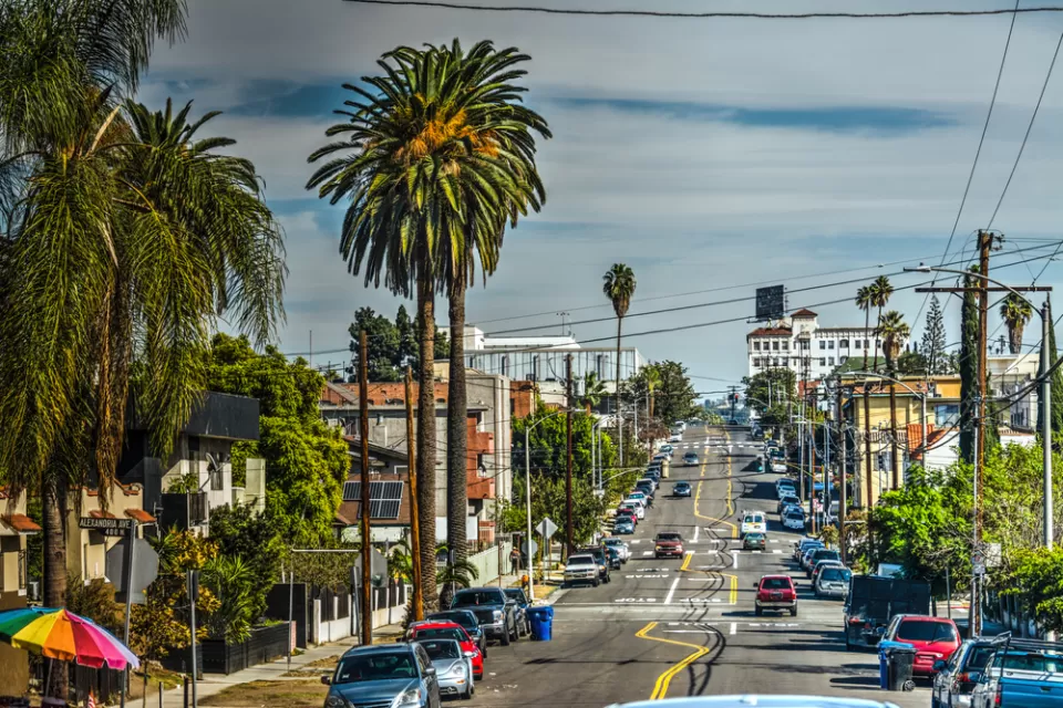 View down a Los Angeles street with cars and tall palm trees on both sides